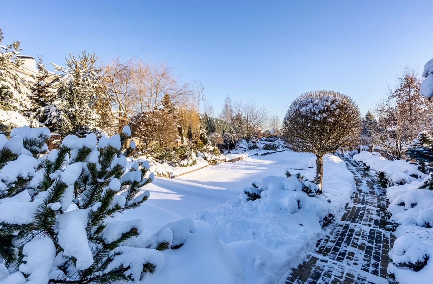 Новые объекты января 