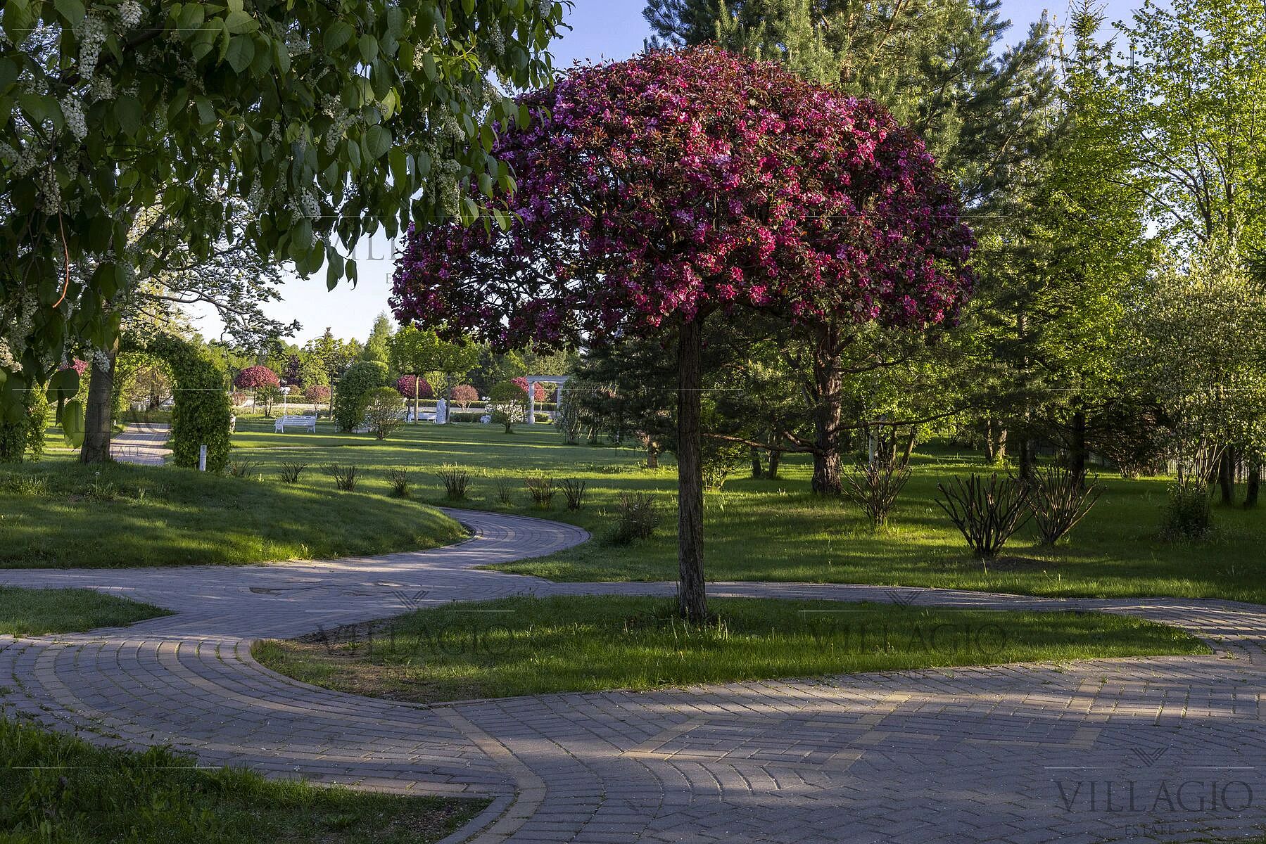 Эксклюзивы