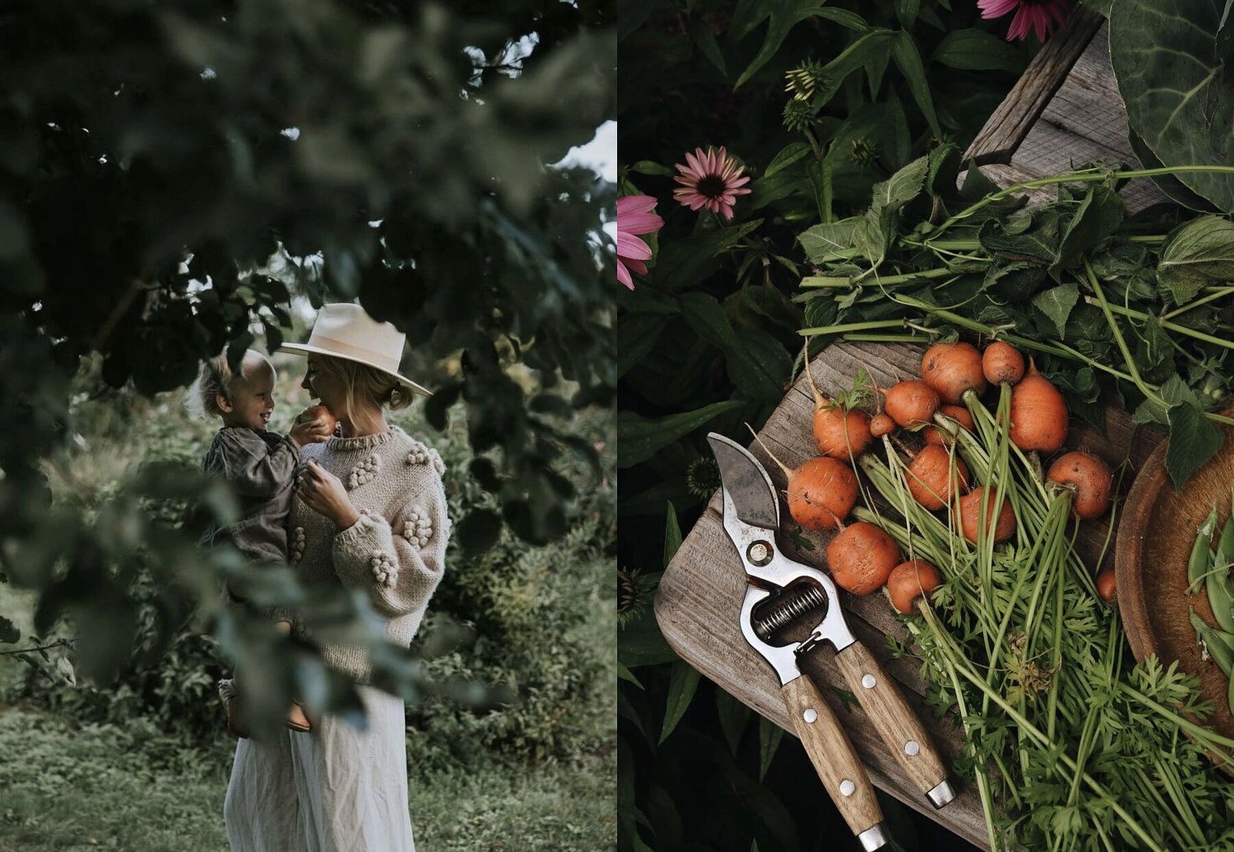 Чек-лист: 7 вещей, которые нужно сделать в саду в начале июня