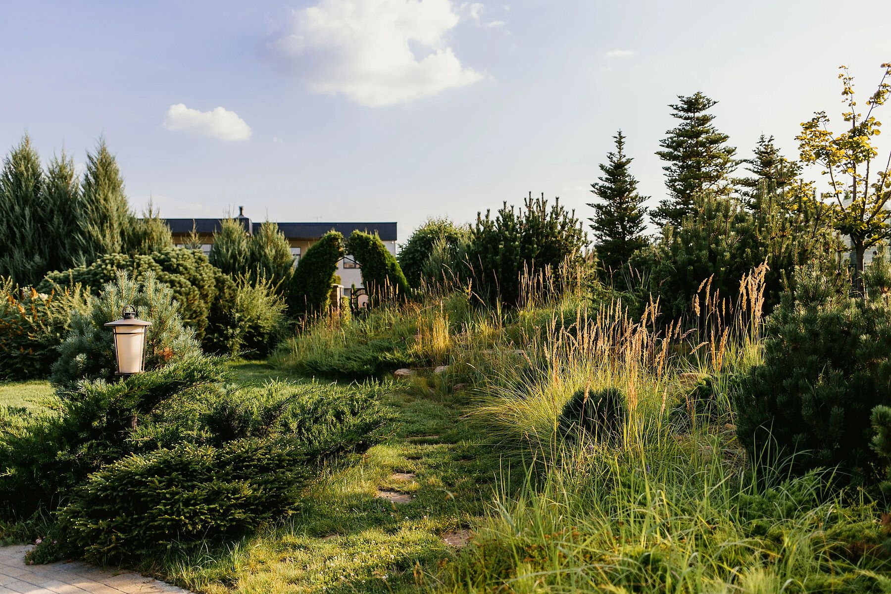 Прогулка по участку в поселке Миллениум парк: ландшафтный дизайн для вдохновения
