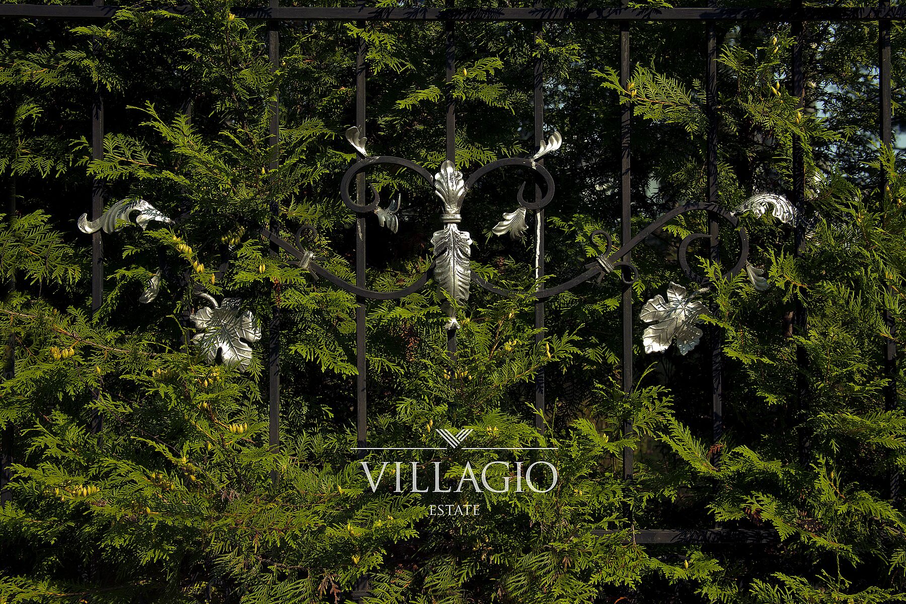 Торговые центры, Гастрономы и Рестораны вблизи поселков Villagio Estate