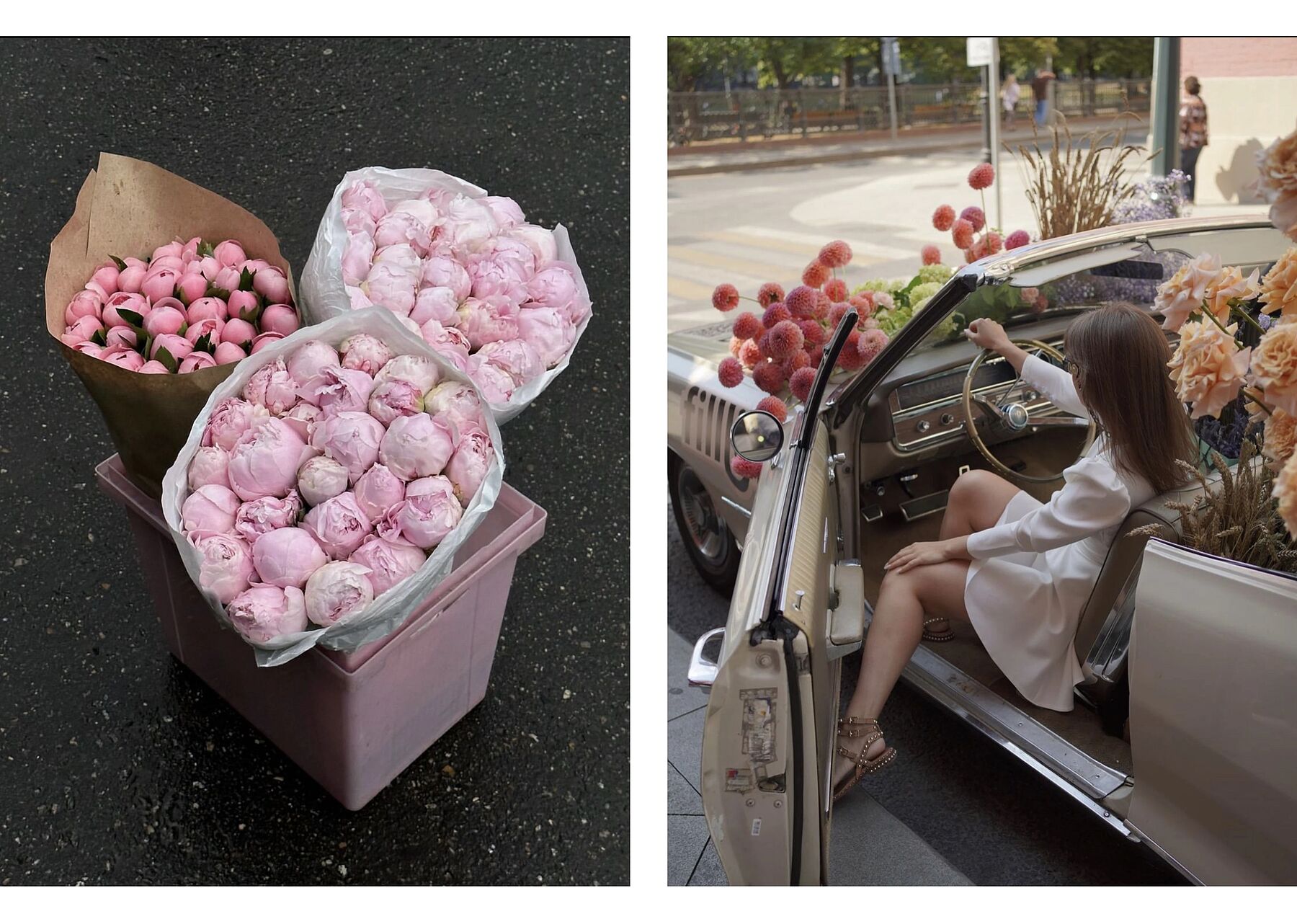 Где покупать цветы на Новой Риге: бренд Lacy Bird и привилегии для жителей Villagio