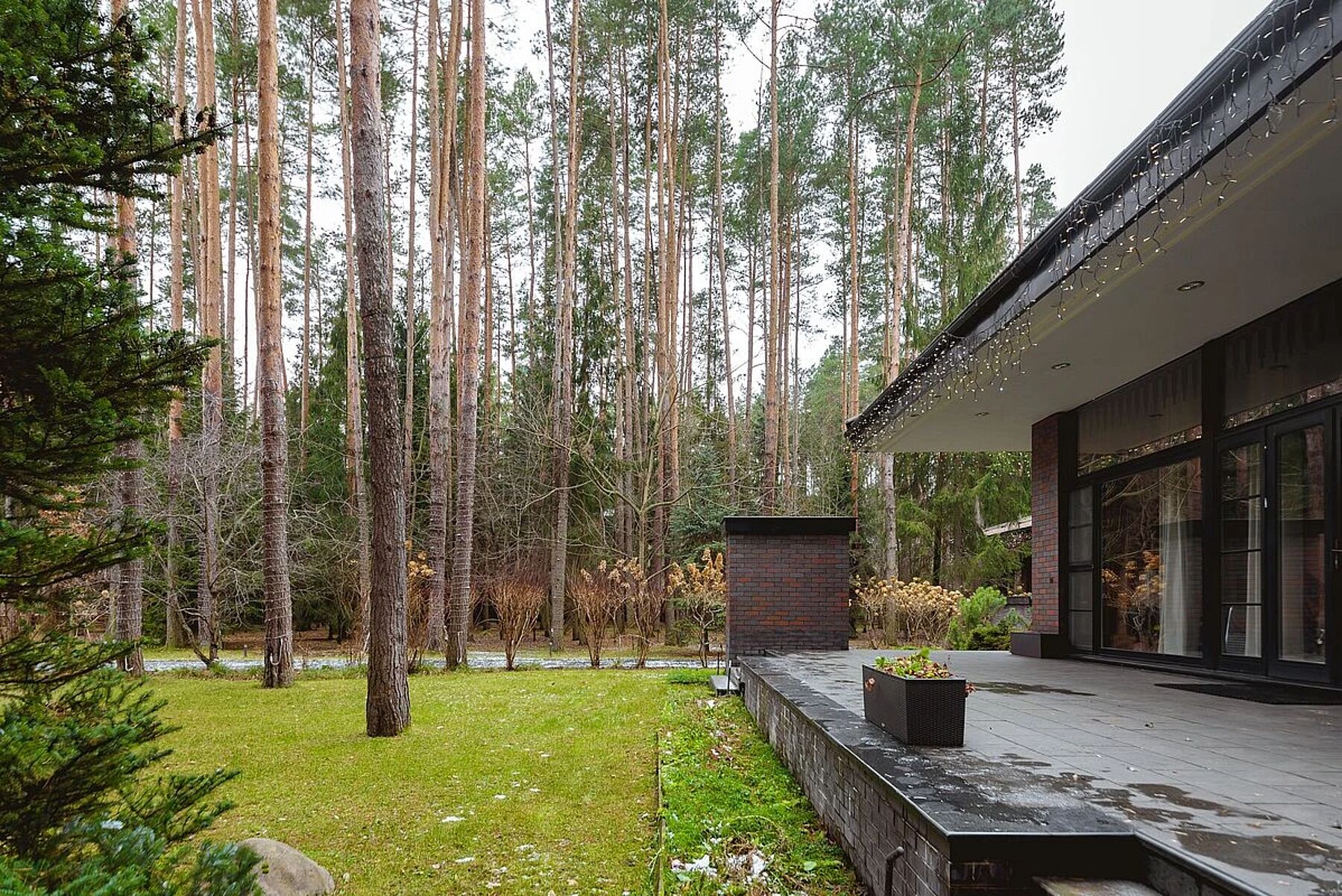 Купить дом мечты: 5 вариантов рядом с лесом