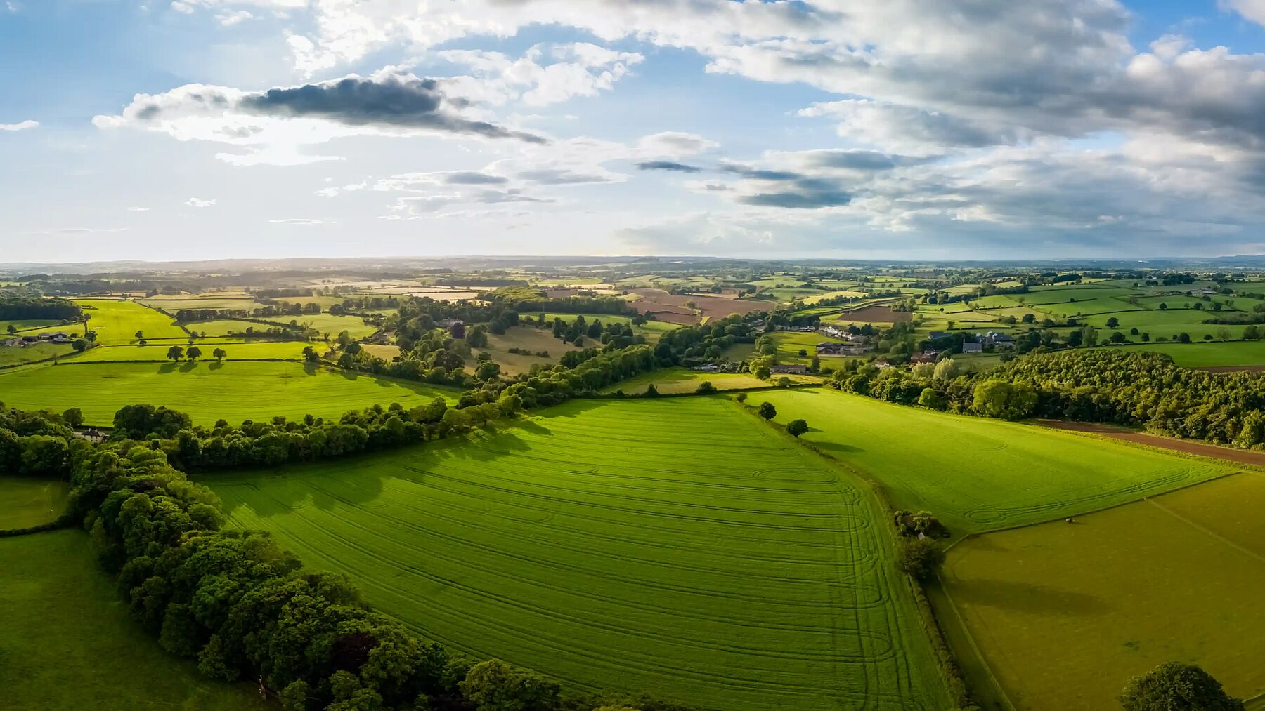 Загородные земли станут дефицитом: новые правила приведут к росту цен на недвижимость