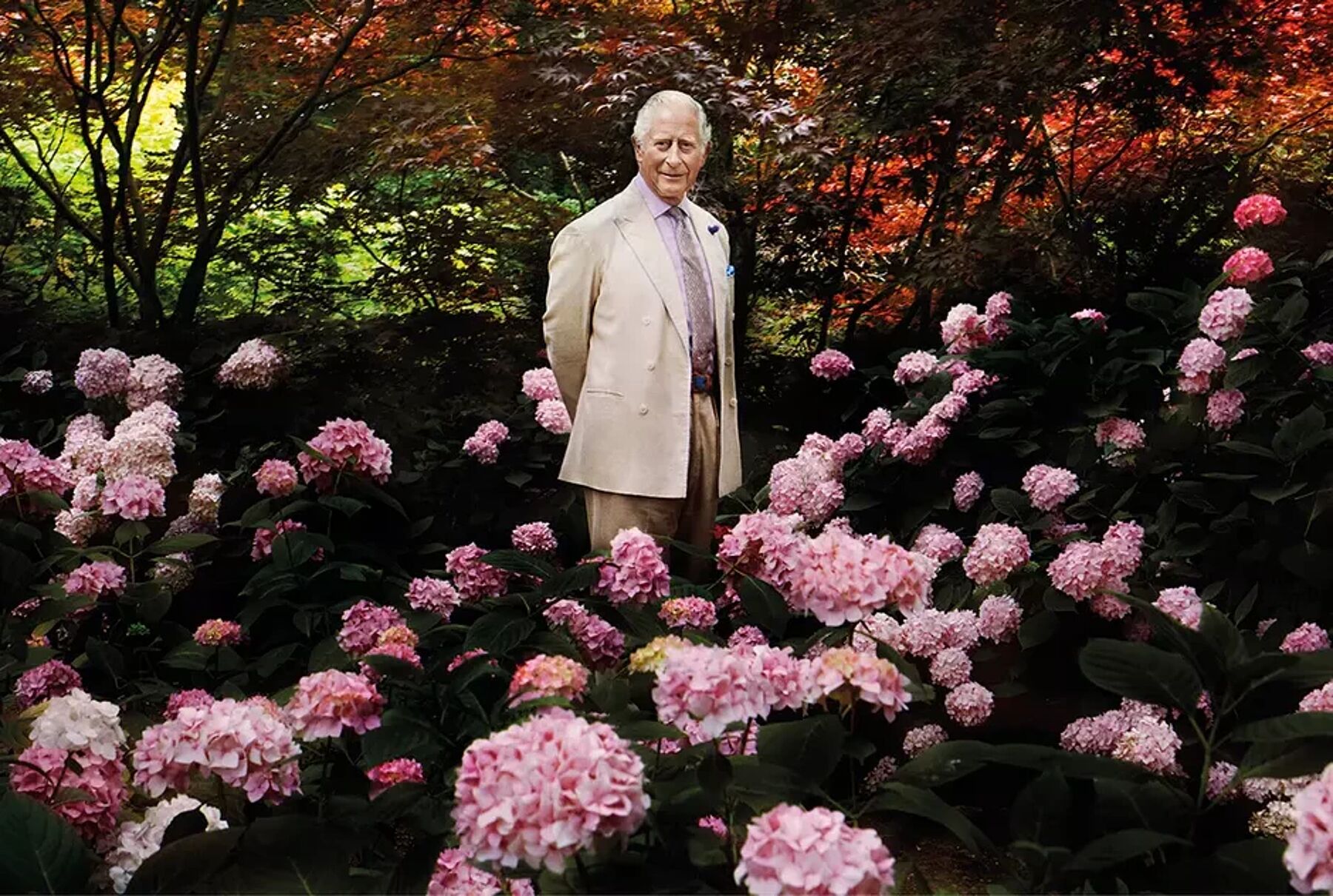 Выпущен первый портрет Карла III, написанный за 2 недели