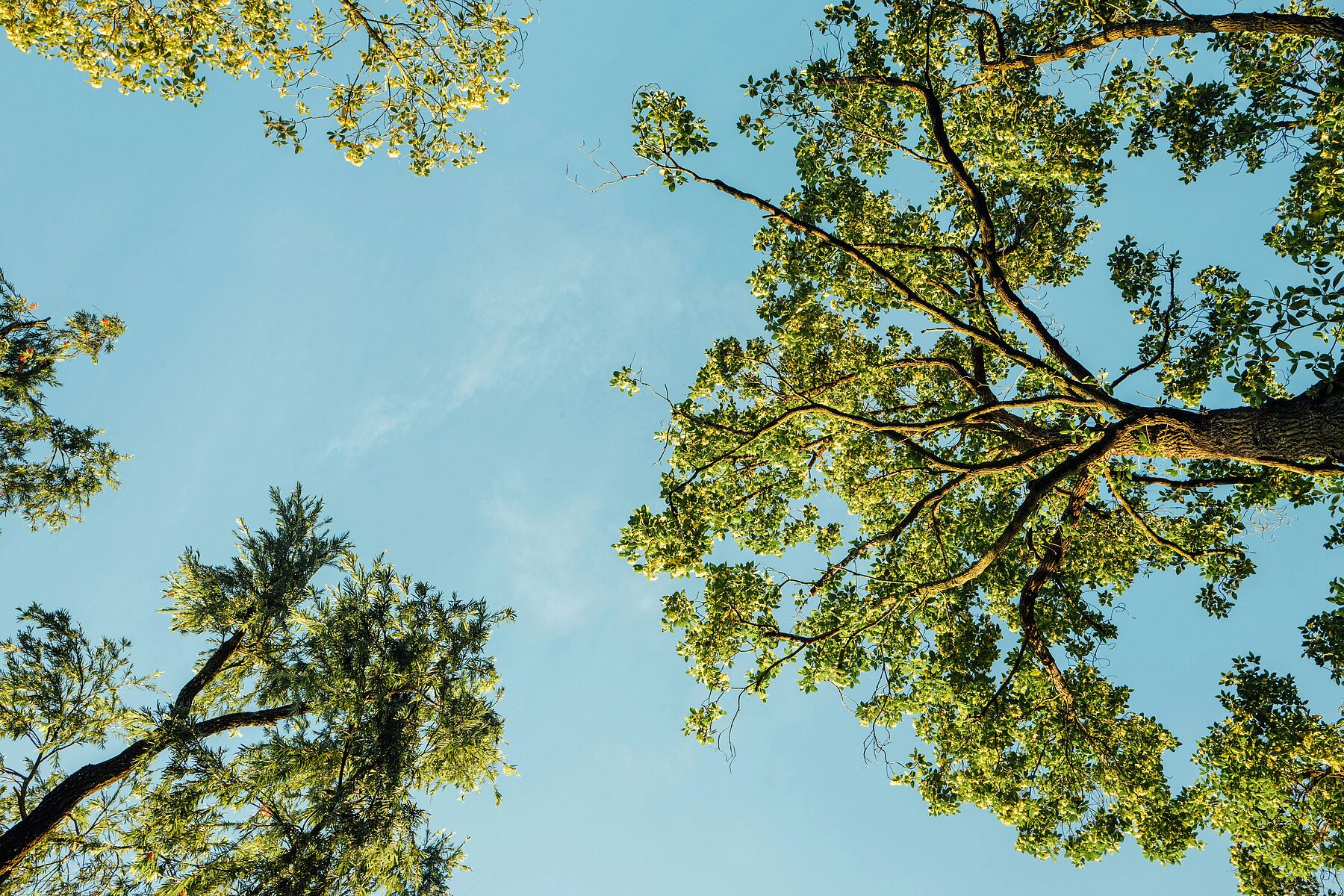 Не только престиж, а особое качество жизни
