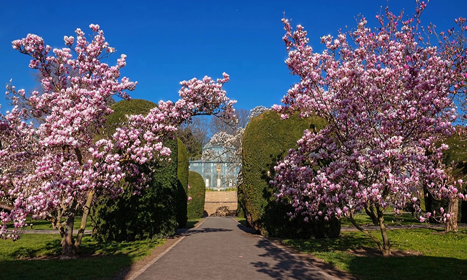 Весеннее обслуживание участка - превращаем хлопоты в удовольствие!