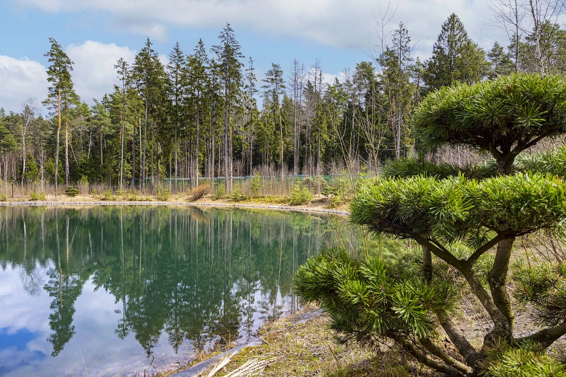 Построить дом мечты: 5 больших участков
