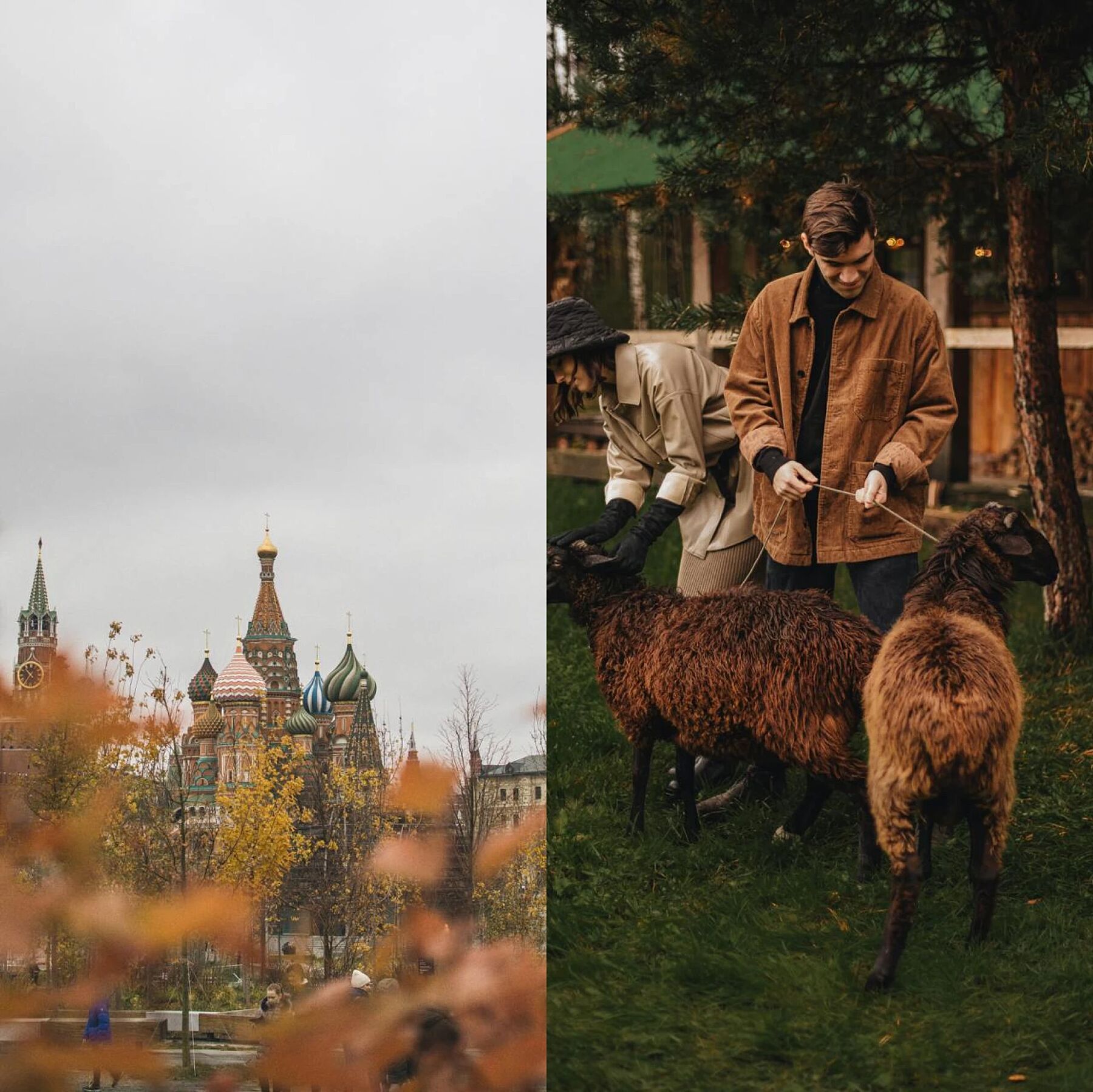 Чем заняться в выходные: планы на 16-17 ноября