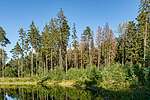 Участки с выходом в лес в элитных поселках на Новой Риге