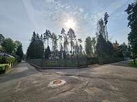 Участок в сосновом бору