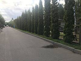 Романово