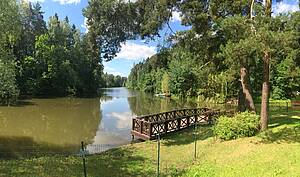 Лесной городок Грибово