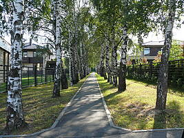 Крекшино