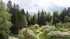 Лукоморье