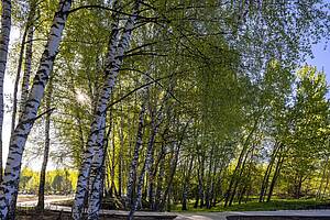 Экстерьер  (фото с лого)