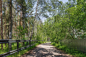 Береста -2