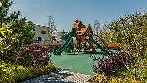 Берёзки