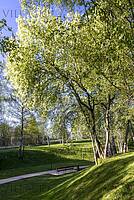 Экстерьер  (фото с лого)