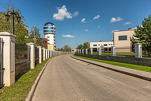 Берёзки