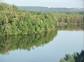 Загородный посёлок 