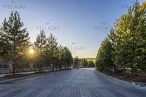 Экстерьер  (фото с лого)