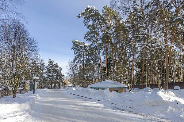 Лесной земельный участок на Николиной горе