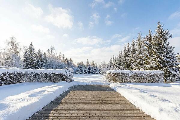 Участок у леса