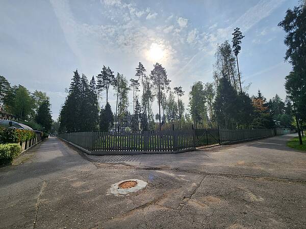 Участок в сосновом бору