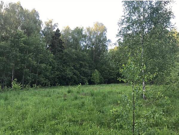 Земельный участок площадью 17 соток