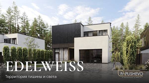 Дом в стиле хай-тек Edelweiss