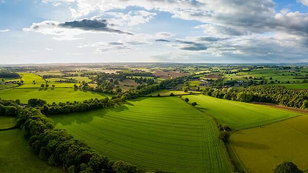 Загородные земли станут дефицитом: новые правила приведут к росту цен на недвижимость