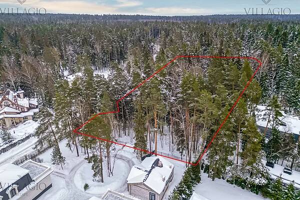 Участок с красивыми соснами в центре поселка