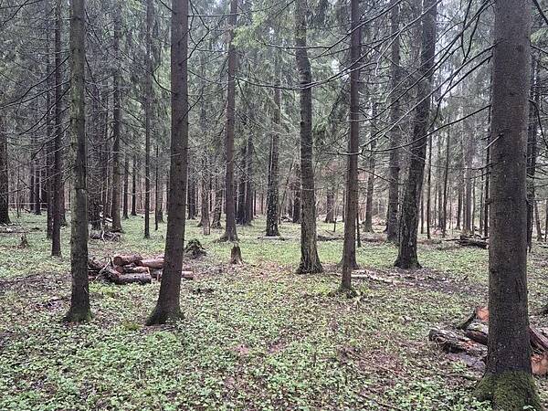 Земельный участок 100 соток