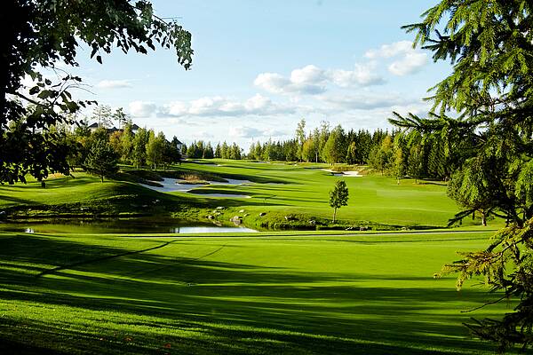 Загородный участок