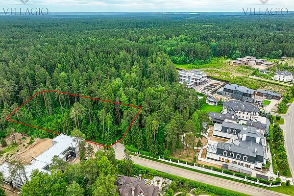 Участок в окружении соснового леса