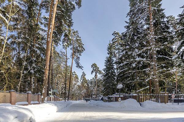 Лесной земельный участок на Николиной горе