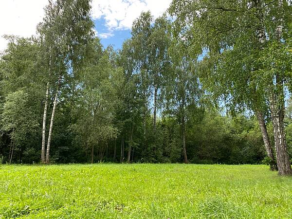 Земельный участок