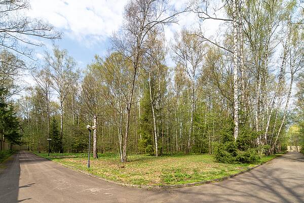 Земельный участок вокруг лесного массива в элитном поселке Вешки 
