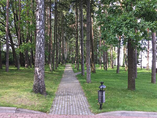 Успенские дачи