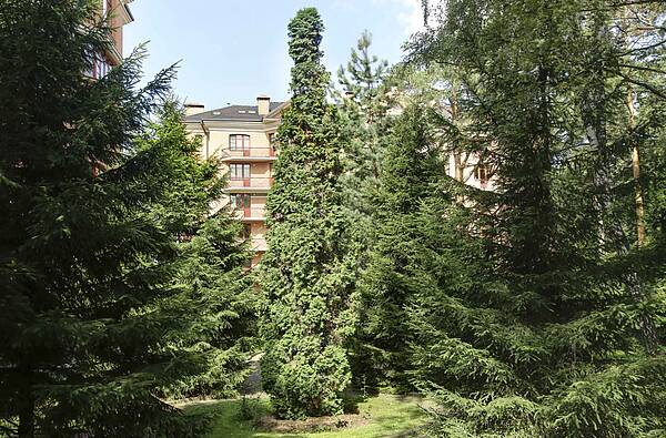 Фонд развития Международного университета