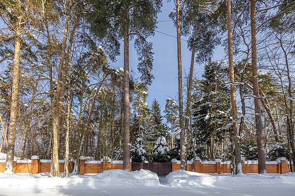 Земельный участок с выходом к воде в Сосновом Бору