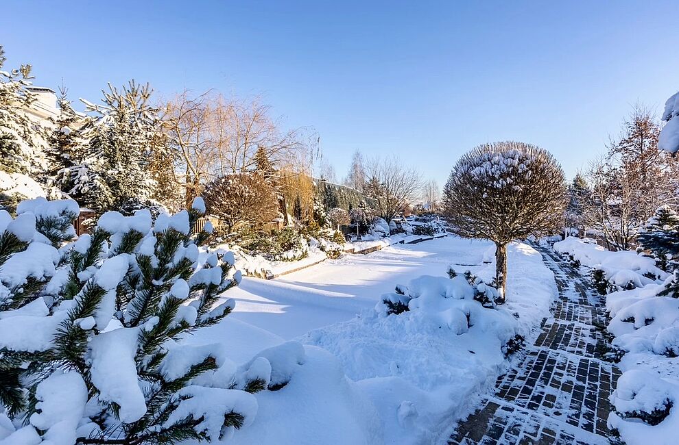 Новые объекты января 