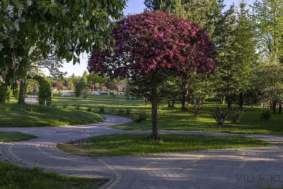 Эксклюзивы