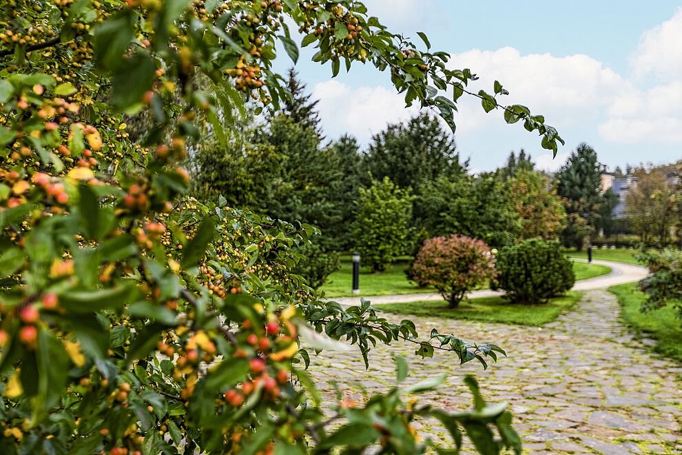 Варианты домов с плодовыми деревьями на участке 