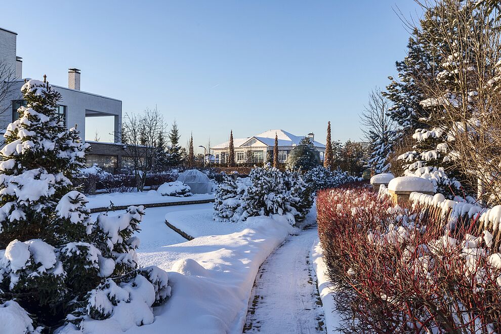 Самые просматриваемые объекты на сайте в январе 