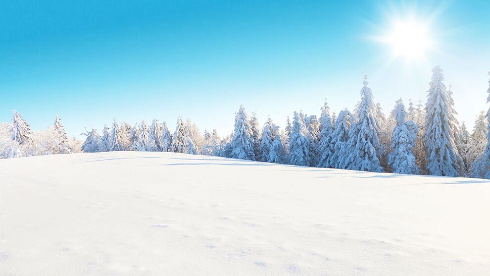 Участки от 1 га под коммерцию рядом с Аутлетом