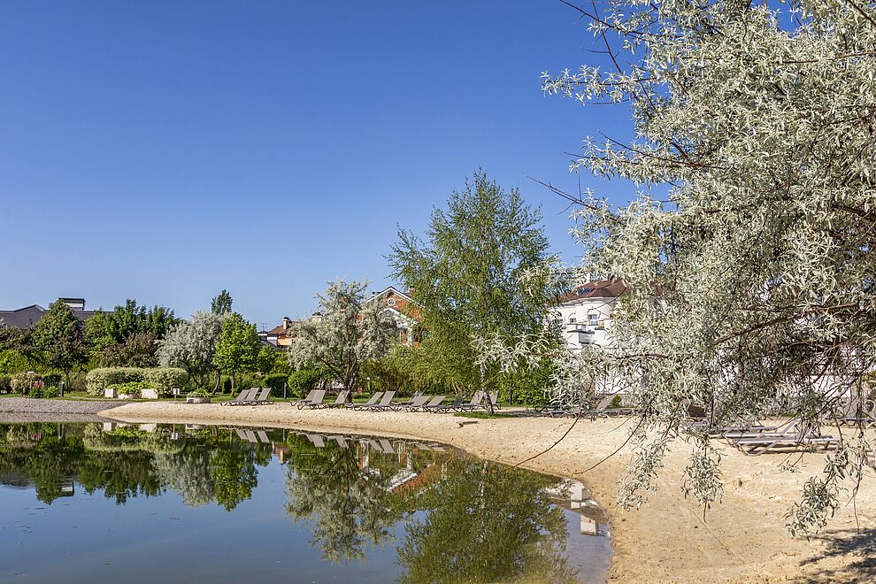 Резиденции и участки у каналов и пляжа 